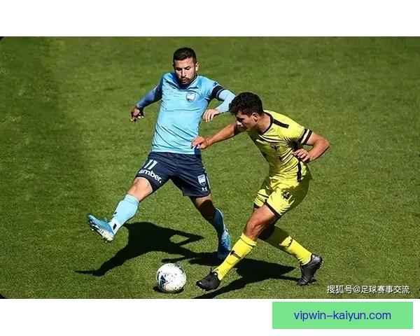 奥地利维也纳在新赛季表现稳健，持续提升竞争力引发关注